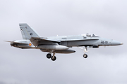 Spanish Air Force (Ejército del Aire) McDonnell Douglas F/A-18A+ Hornet (C.15-82) at  Gran Canaria, Spain