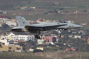 Spanish Air Force (Ejército del Aire) McDonnell Douglas F/A-18A+ Hornet (C.15-82) at  Gran Canaria, Spain