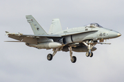 Spanish Air Force (Ejército del Aire) McDonnell Douglas F/A-18A+ Hornet (C.15-82) at  Gran Canaria, Spain