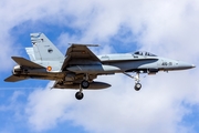 Spanish Air Force (Ejército del Aire) McDonnell Douglas F/A-18A+ Hornet (C.15-83) at  Gran Canaria, Spain