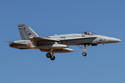 Spanish Air Force (Ejército del Aire) McDonnell Douglas F/A-18A+ Hornet (C.15-83) at  Gran Canaria, Spain