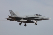 Spanish Air Force (Ejército del Aire) McDonnell Douglas F/A-18A+ Hornet (C.15-83) at  Gran Canaria, Spain