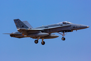 Spanish Air Force (Ejército del Aire) McDonnell Douglas F/A-18A+ Hornet (C.15-83) at  Gran Canaria, Spain