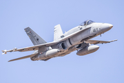 Spanish Air Force (Ejército del Aire) McDonnell Douglas F/A-18A+ Hornet (C.15-83) at  Gran Canaria, Spain