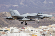 Spanish Air Force (Ejército del Aire) McDonnell Douglas F/A-18A+ Hornet (C.15-84) at  Gran Canaria, Spain