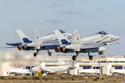 Spanish Air Force (Ejército del Aire) McDonnell Douglas F/A-18A+ Hornet (C.15-84) at  Gran Canaria, Spain