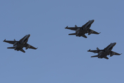 Spanish Air Force (Ejército del Aire) McDonnell Douglas F/A-18A+ Hornet (C.15-84) at  Tenerife - Santa Cruz, Spain