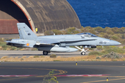 Spanish Air Force (Ejército del Aire) McDonnell Douglas F/A-18A+ Hornet (C.15-84) at  Gran Canaria, Spain
