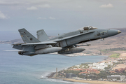 Spanish Air Force (Ejército del Aire) McDonnell Douglas F/A-18A+ Hornet (C.15-84) at  Gran Canaria, Spain