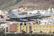 Spanish Air Force (Ejército del Aire) McDonnell Douglas EF-18A Hornet (C.15-85) at  Gran Canaria, Spain
