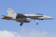 Spanish Air Force (Ejército del Aire) McDonnell Douglas F/A-18A+ Hornet (C.15-87) at  Gran Canaria, Spain