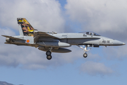 Spanish Air Force (Ejército del Aire) McDonnell Douglas EF-18A Hornet (C.15-88) at  Gran Canaria, Spain