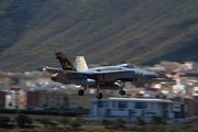 Spanish Air Force (Ejército del Aire) McDonnell Douglas EF-18A Hornet (C.15-88) at  Gran Canaria, Spain