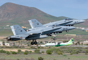 Spanish Air Force (Ejército del Aire) McDonnell Douglas F/A-18A+ Hornet (C.15-89) at  Gran Canaria, Spain