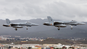 Spanish Air Force (Ejército del Aire) McDonnell Douglas F/A-18A+ Hornet (C.15-89) at  Gran Canaria, Spain