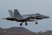 Spanish Air Force (Ejército del Aire) McDonnell Douglas F/A-18A+ Hornet (C.15-89) at  Gran Canaria, Spain