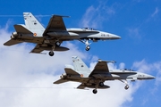 Spanish Air Force (Ejército del Aire) McDonnell Douglas F/A-18A+ Hornet (C.15-90) at  Gran Canaria, Spain