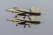 Spanish Air Force (Ejército del Aire) McDonnell Douglas F/A-18A+ Hornet (C.15-90) at  Gran Canaria, Spain