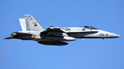 Spanish Air Force (Ejército del Aire) McDonnell Douglas F/A-18A+ Hornet (C.15-90) at  Tenerife Sur - Reina Sofia, Spain