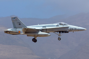 Spanish Air Force (Ejército del Aire) McDonnell Douglas F/A-18A+ Hornet (C.15-90) at  Gran Canaria, Spain