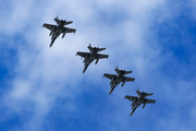 Spanish Air Force (Ejército del Aire) McDonnell Douglas F/A-18A+ Hornet (C.15-90) at  Tenerife Norte - Los Rodeos, Spain