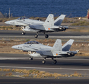 Spanish Air Force (Ejército del Aire) McDonnell Douglas EF-18A Hornet (C.15-93) at  Gran Canaria, Spain