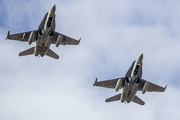 Spanish Air Force (Ejército del Aire) McDonnell Douglas EF-18A Hornet (C.15-93) at  Gran Canaria, Spain