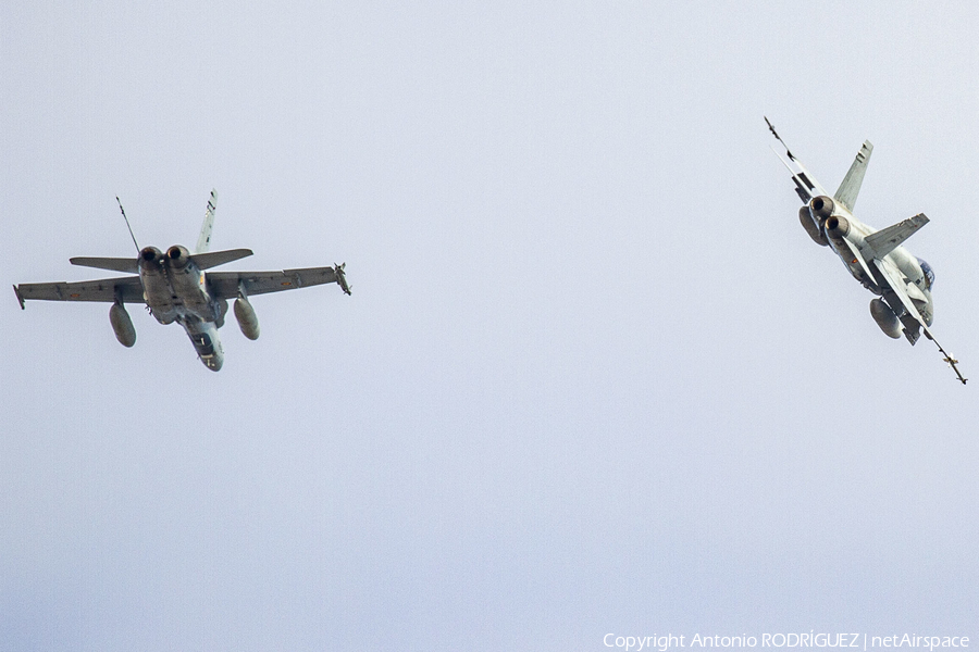 Spanish Air Force (Ejército del Aire) McDonnell Douglas EF-18A Hornet (C.15-93) | Photo 369309