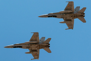 Spanish Air Force (Ejército del Aire) McDonnell Douglas EF-18A Hornet (C.15-93) at  Gran Canaria, Spain