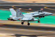 Spanish Air Force (Ejército del Aire) McDonnell Douglas EF-18A Hornet (C.15-93) at  Gran Canaria, Spain