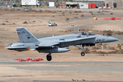 Spanish Air Force (Ejército del Aire) McDonnell Douglas EF-18A Hornet (C.15-93) at  Gran Canaria, Spain