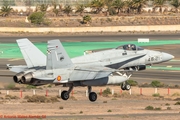 Spanish Air Force (Ejército del Aire) McDonnell Douglas EF-18A Hornet (C.15-93) at  Gran Canaria, Spain