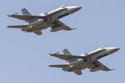 Spanish Air Force (Ejército del Aire) McDonnell Douglas F/A-18A+ Hornet (C.15-94) at  Gran Canaria, Spain