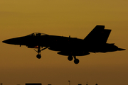 Spanish Air Force (Ejército del Aire) McDonnell Douglas F/A-18A+ Hornet (C.15-94) at  Gran Canaria, Spain