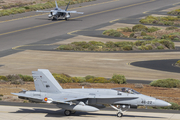 Spanish Air Force (Ejército del Aire) McDonnell Douglas F/A-18A+ Hornet (C.15-94) at  Gran Canaria, Spain