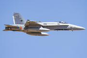 Spanish Air Force (Ejército del Aire) McDonnell Douglas F/A-18A+ Hornet (C.15-94) at  Gran Canaria, Spain