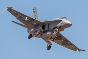 Spanish Air Force (Ejército del Aire) McDonnell Douglas F/A-18A+ Hornet (C.15-94) at  Gran Canaria, Spain