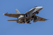 Spanish Air Force (Ejército del Aire) McDonnell Douglas F/A-18A+ Hornet (C.15-94) at  Gran Canaria, Spain