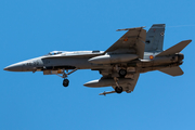 Spanish Air Force (Ejército del Aire) McDonnell Douglas F/A-18A+ Hornet (C.15-94) at  Gran Canaria, Spain