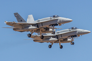 Spanish Air Force (Ejército del Aire) McDonnell Douglas F/A-18A+ Hornet (C.15-94) at  Gran Canaria, Spain