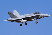 Spanish Air Force (Ejército del Aire) McDonnell Douglas F/A-18A+ Hornet (C.15-94) at  Gran Canaria, Spain