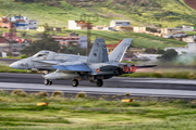 Spanish Air Force (Ejército del Aire) McDonnell Douglas F/A-18A+ Hornet (C.15-94) at  Tenerife Norte - Los Rodeos, Spain