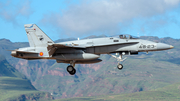 Spanish Air Force (Ejército del Aire) McDonnell Douglas F/A-18A+ Hornet (C.15-95) at  Gran Canaria, Spain