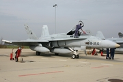 Spanish Air Force (Ejército del Aire) McDonnell Douglas F/A-18A+ Hornet (C.15-96) at  Florennes AFB, Belgium