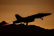 Spanish Air Force (Ejército del Aire) McDonnell Douglas F/A-18A+ Hornet (C.15-96) at  Gran Canaria, Spain