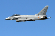 Spanish Air Force (Ejército del Aire) Eurofighter EF2000 Typhoon (C.16-25) at  Sintra AFB, Portugal