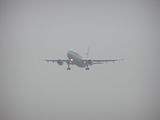 Belgian Air Force Airbus A310-222 (CA-01) at  Kleine Brogel AFB, Belgium