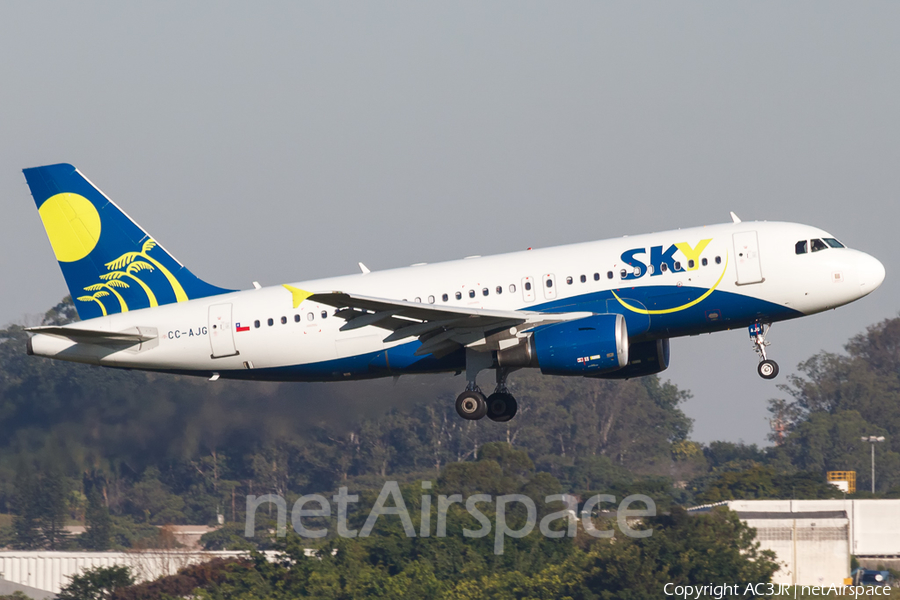 Sky Airline Airbus A319-112 (CC-AJG) | Photo 329186