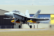 Spanish Air Force (Ejército del Aire) McDonnell Douglas EF-18BM Hornet (CE.15-01) at  RAF Fairford, United Kingdom