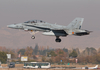 Spanish Air Force (Ejército del Aire) McDonnell Douglas EF-18BM Hornet (CE.15-06) at  Zaragoza, Spain